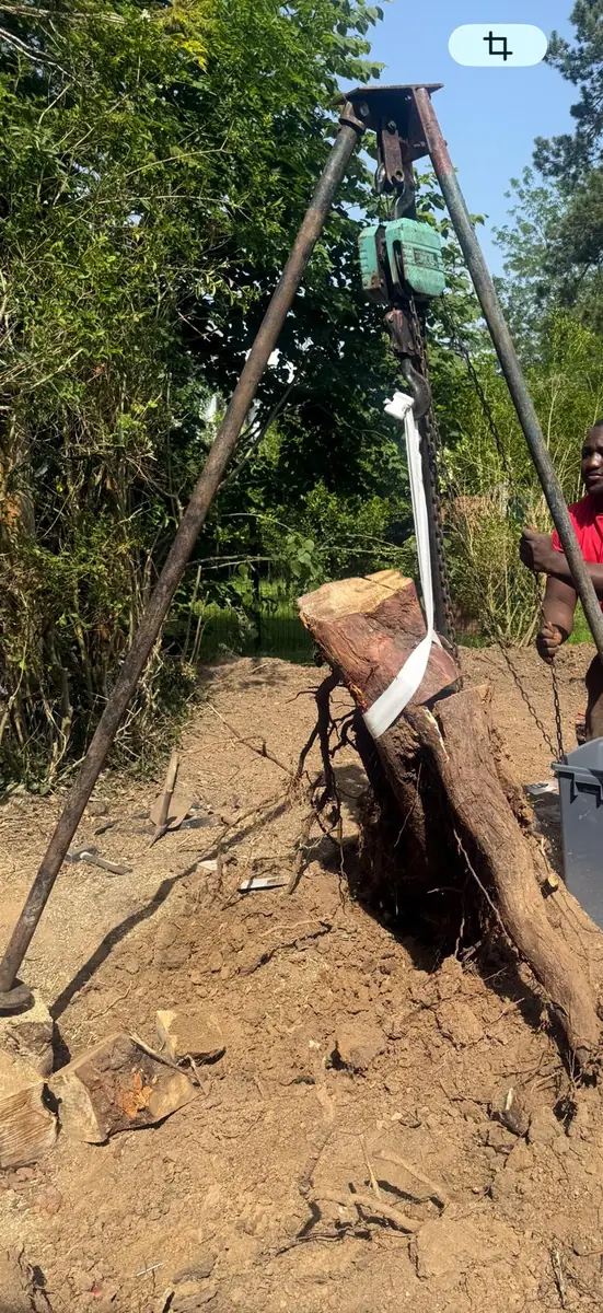 Souche d’arbre découpée et levée à l’aide d’un trépied en Île-de-France
