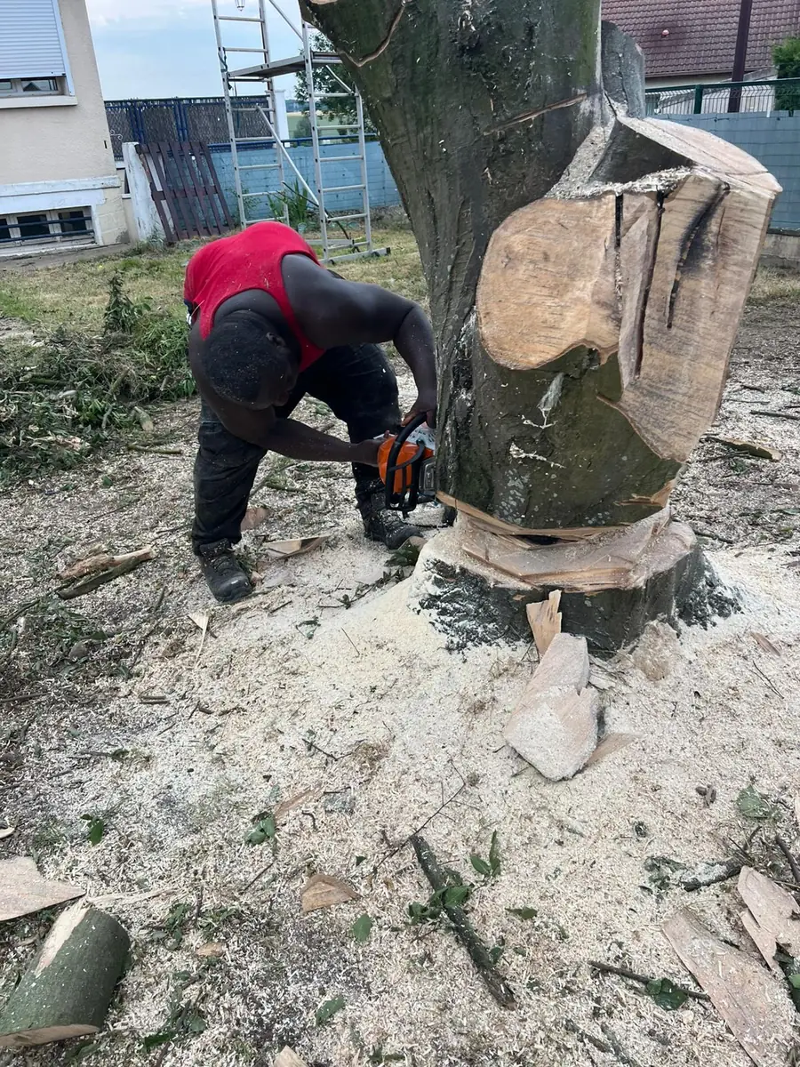 Abattage par démontage en rétention d’un tronc en zone urbaine contrainte en Île-de-France