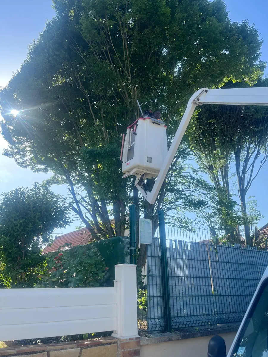 Élagage d’arbres en nacelle par SPEEDBINTOUDIABY en Île-de-France