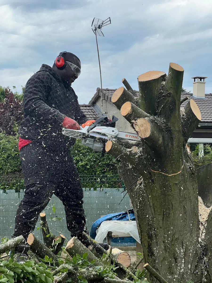 Abattage sécurisé d’un arbre par démontage en rétention par SPEEDBINTOUDIABY en Île-de-France