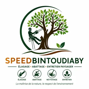 SPEEDBINTOUDIABY — élagage, abattage et entretien paysager en Seine-Saint-Denis et Île-de-France