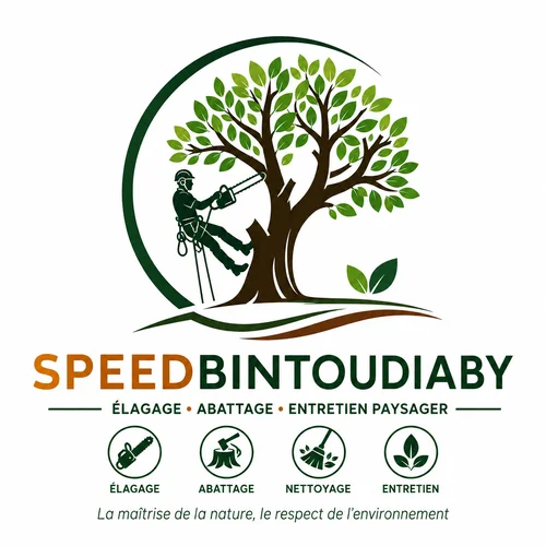 SPEEDBINTOUDIABY — élagage, abattage et entretien paysager en Seine-Saint-Denis et Île-de-France