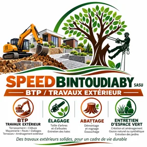 SPEEDBINTOUDIABY — élagage, abattage et entretien paysager en Île-de-France